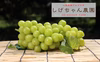 シャインマスカット（種無し）皮ごと食べられる葡萄（山梨県産）