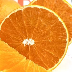 【数量限定】愛媛県産「段畑まどんな」贈答品9〜12玉