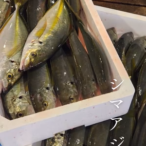 天然シマアジ２キロ