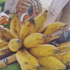 沖縄県産！冷凍完熟アップルバナナ！1kg！