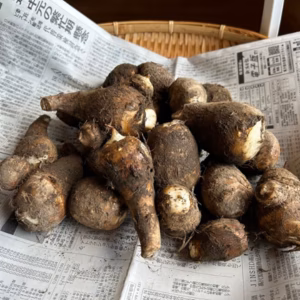 奥出雲産自然栽培さといも
