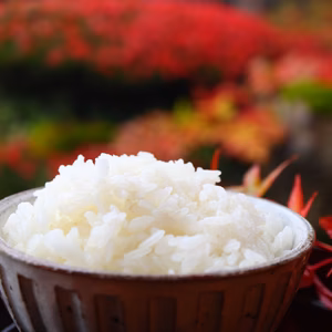 令和6年産　5kg×2 極みのつや姫　山形県　