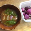 お試し☀︎固定種&在来種おまかせ自然栽培野菜セット~スープな野菜のお便り~
