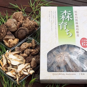 原木椎茸森育ちの乾燥椎茸詰め合わせ箱入り200ｇ