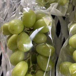 超訳あり家庭用シャインマスカット　1.7キロ以上3-5房入