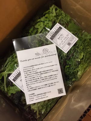 みんなの投稿の画像