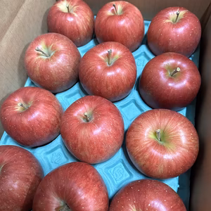 リピート人気No.1シナノスイート 