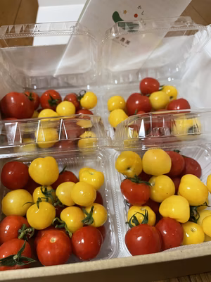 みんなの投稿の画像