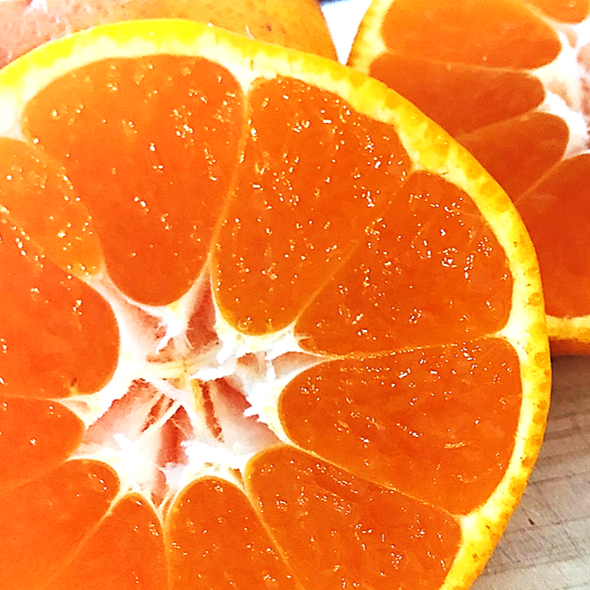 2/20より順次発送 寿太郎(じゅたろう) サイズ混合 5kg｜みかんの商品