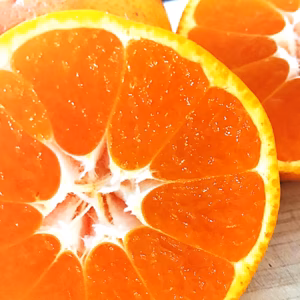 2/20より順次発送 寿太郎(じゅたろう) サイズ混合 5kg