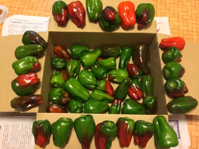 みんなの投稿の画像