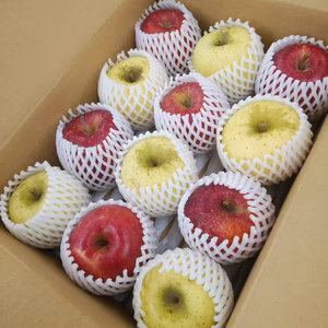 いまでもパリパリ！【ふじ＆ゴールド】食べ比べ約５ｋｇ　スマートフレッシュ処理済！