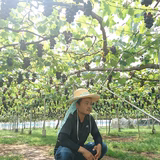 会沢将史 | 会沢巨峰ぶどう園