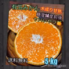 有田みかん『木成り甘熟』5kg（箱込）