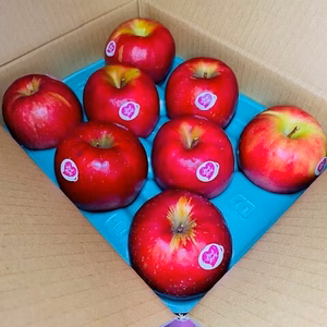 【A級・贈答用】ピンクレディ【2キロ箱】