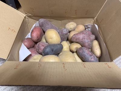 みんなの投稿の画像