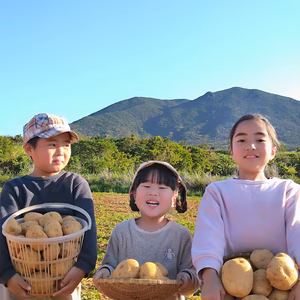 南の島　徳之島から新じゃがとれました　サイズ大きめ