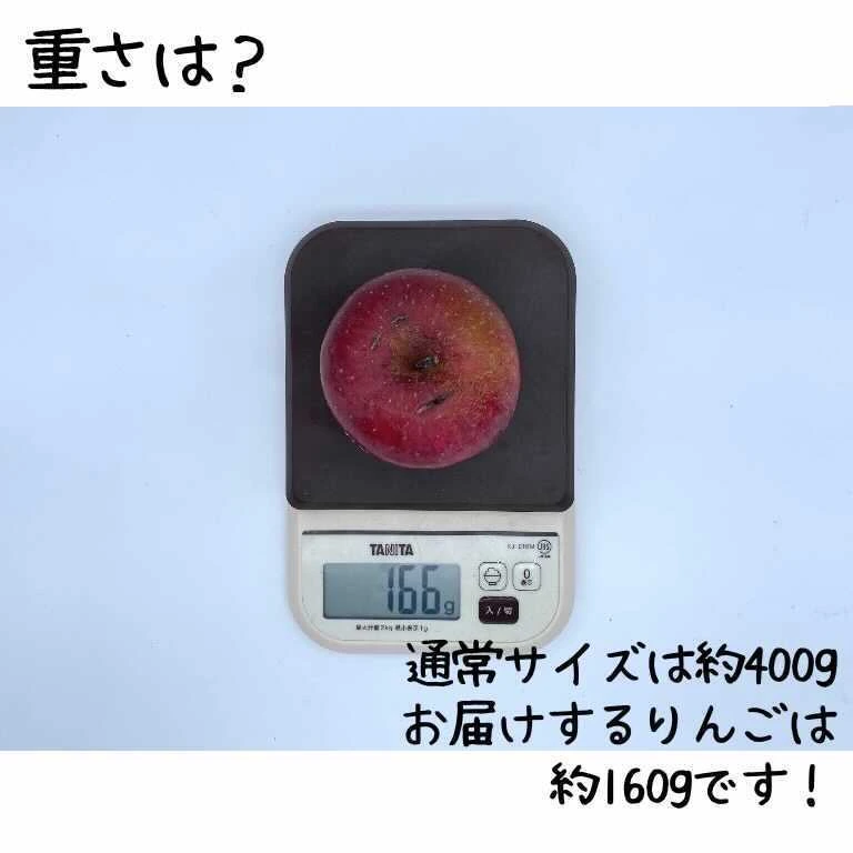 【かわいいサイズ】春待ちりんご（訳あり　2.7kg）減農薬栽培