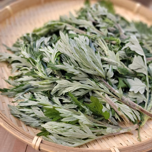 ［奈良の里山から］ふわふわの新鮮よもぎ（無農薬畑で育っています）