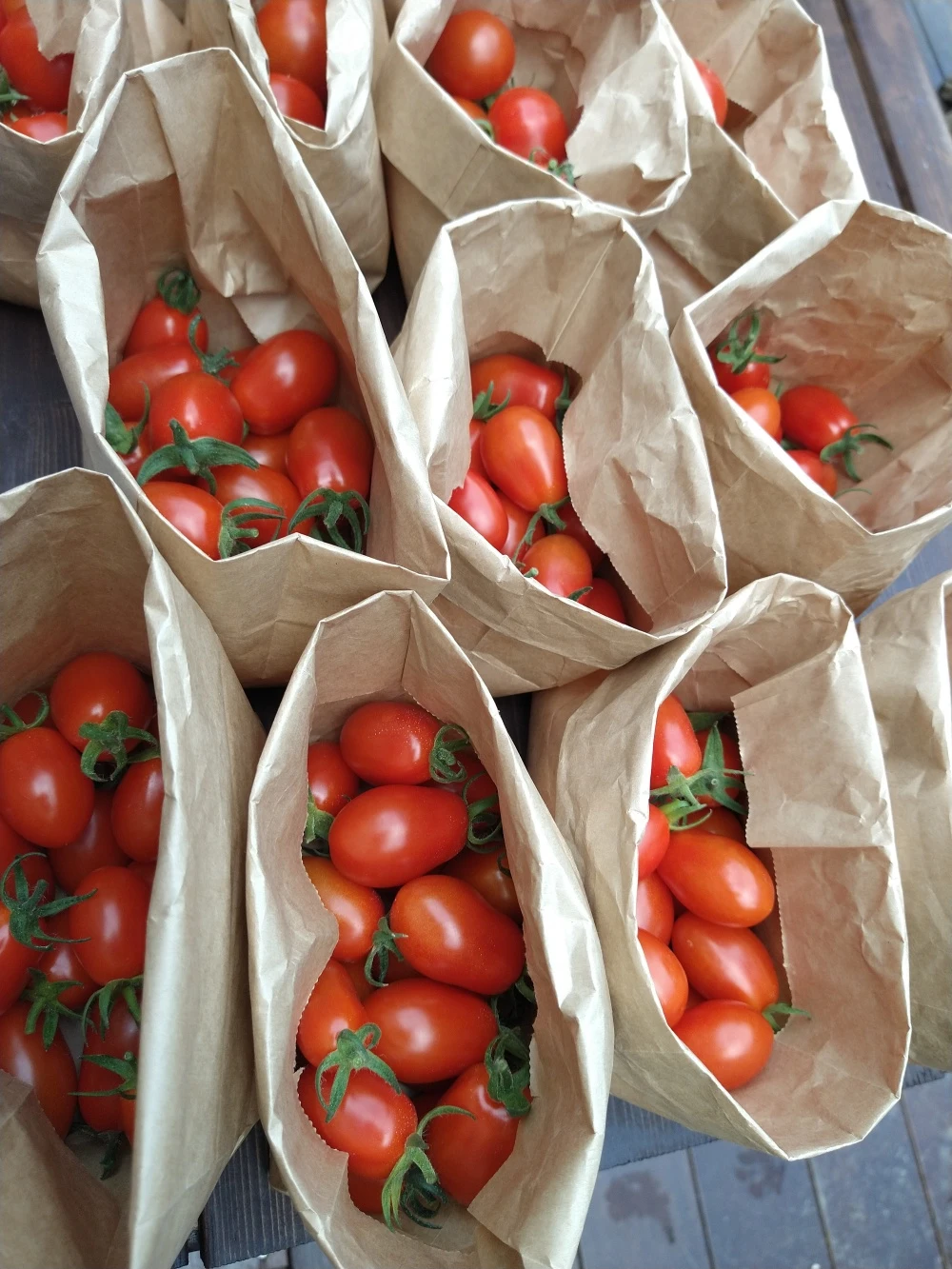 □有機jasミニトマト アイコ１ｋｇおまけ付｜野菜の商品詳細｜ポケット