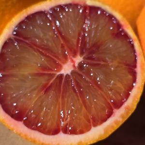 至福のブラッドオレンジ 食べくらべセット