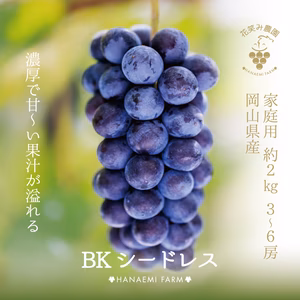B-2 花笑み農園　岡山『BKシードレス』家庭用2kg（3~4房） 9月中旬～　