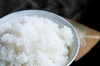 【送料無料！】玄米！富士山白糸こしひかり2kg〜！化学肥料不使用