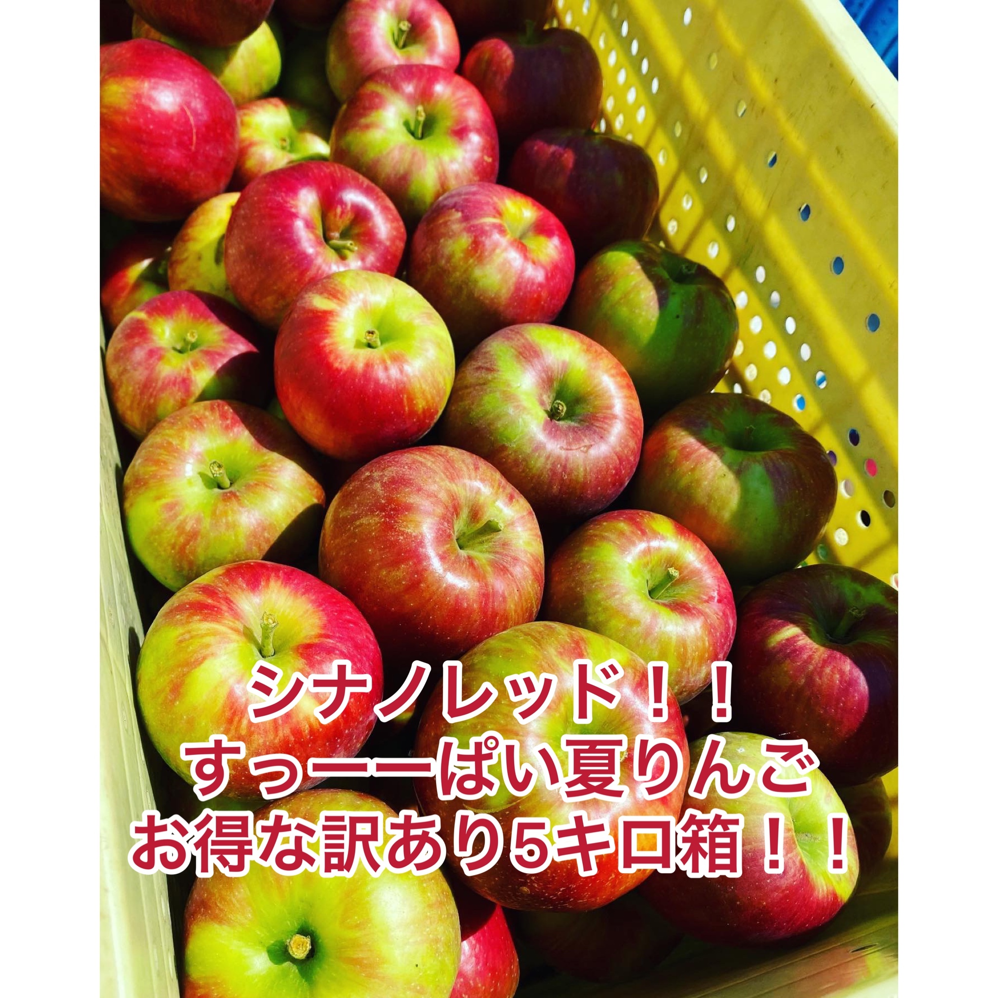 りんご 加工用の産直通販・お取り寄せ商品｜ポケットマルシェ｜産地