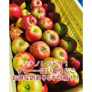 訳あり5キロ箱シナノレッド！！すっぱいジューシー夏りんご！