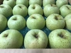 【甘い】青森県産りんご「王林」　家庭用 きずあり 5kg 