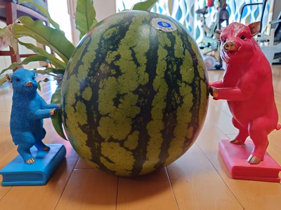 みんなの投稿の画像