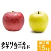 ふじりんご&シナノゴールド【訳あり15kg】食べ比べ☆10月下旬頃出荷開始