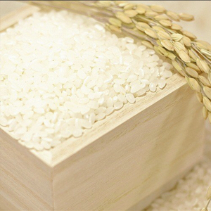 コシヒカリ　25kg 玄米