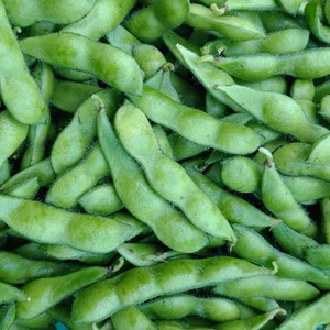 【クール便】ラストです!今年はファンを増やしたい！枝豆番長　1.8kg