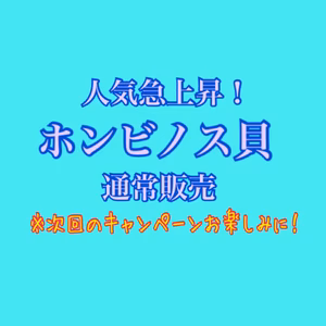 ホンビノス貝　LLサイズ　