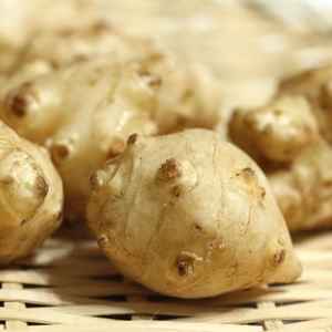 ＜自然栽培＞ 皮ごと安心♪菊芋【SDGｓエバンジェリスト認定】