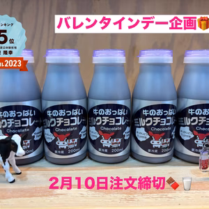 牛のおっぱいチョコレートミルク　10本、15本、20本セット