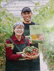 初夏のフルーツパプリカ 小玉多め1 2kg 農家漁師から産地直送の通販 ポケットマルシェ