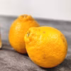 不知火町の不知火みかん　【家庭用】　9.5キロ　みかん　不知火　オレンジ
