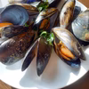 三陸直送！殼つきムール貝と皿貝詰め合わせ1キロ(各10前後)