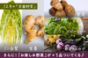 【第3週お届け】季節を味わう　旬のお野菜定期便