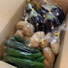 【超お買い得】北海道産米ナス・きゅうり＋お任せ野菜セット