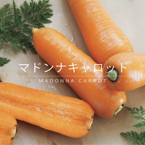 感謝の気持ち！お得にマドンナキャロット　【訳あり5kg】