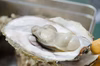 そのまま火にかけるだけ！牡蠣の缶パック