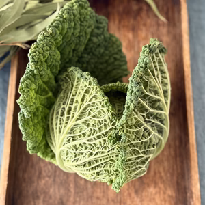 ロールキャベツやスープに サヴォイキャベツ 約2kg