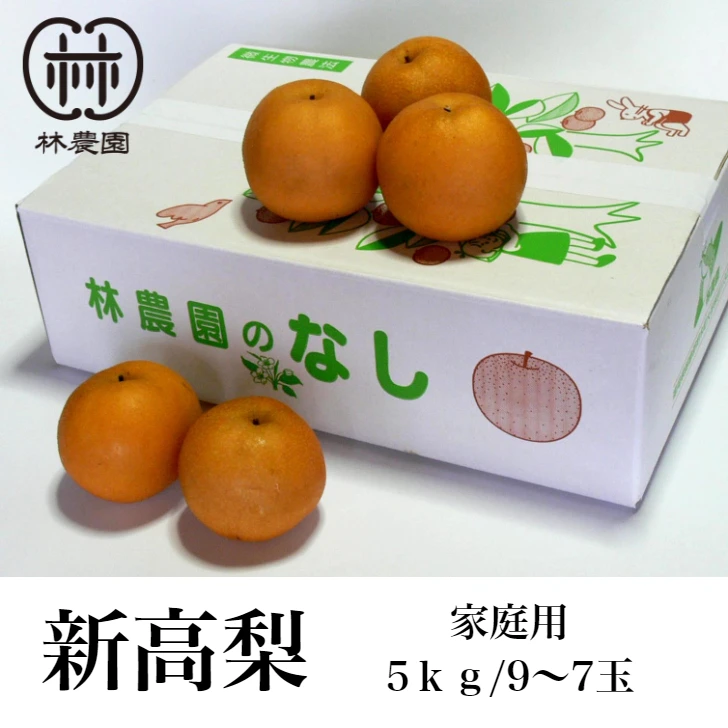食べ応えの大玉品種！　新高梨　家庭用　約5kg(6～9玉)