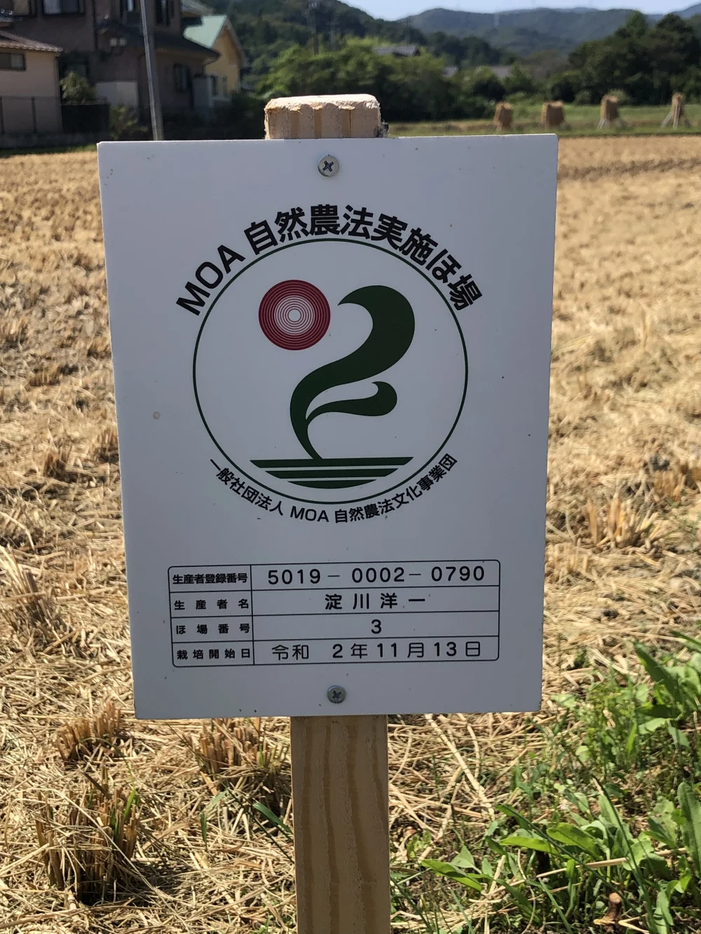 令和5年産自然栽培掛け干し米  にこまる★KAMINO-OSUSOWAKE★