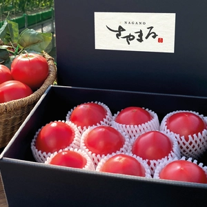 【ギフト対応OK】長野県産フルーツトマト「さやまる」