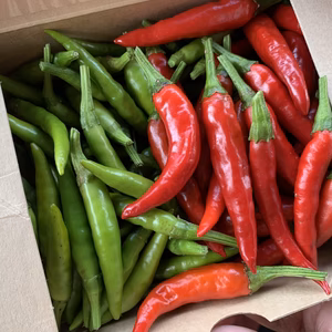 【レターパックライト発送】青唐辛子と赤唐辛子のセット 300g 