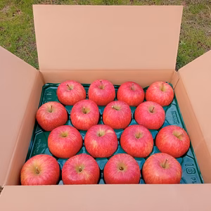 サンふじ（ほぼ葉取らず）16〜18玉（5kg箱）